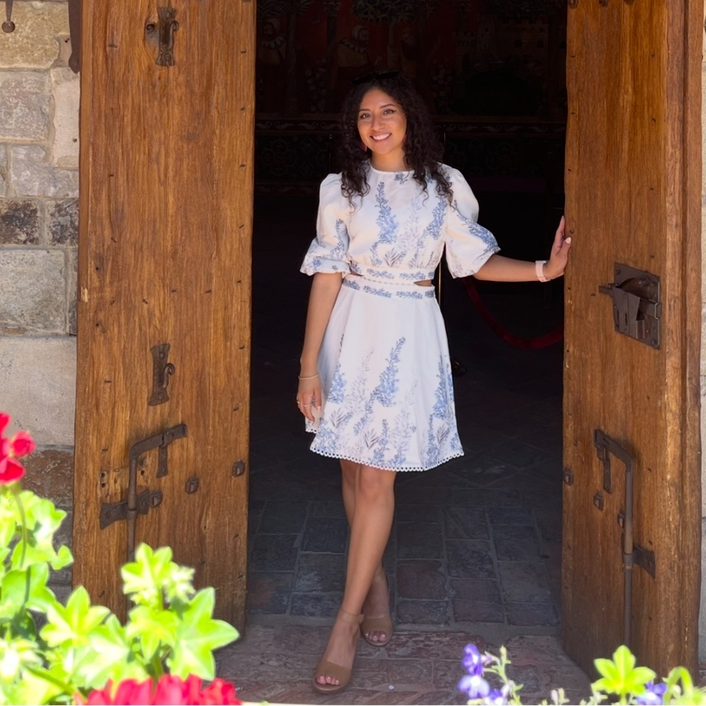 Lantern Sleeve Dress